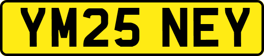YM25NEY