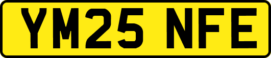 YM25NFE