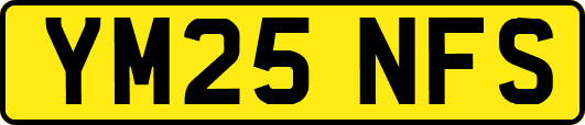 YM25NFS