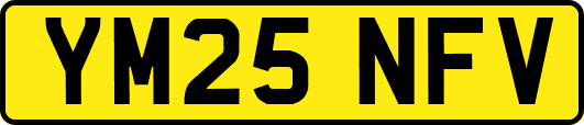 YM25NFV