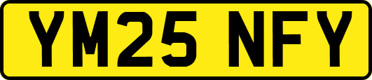 YM25NFY