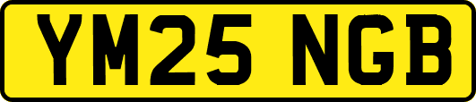 YM25NGB