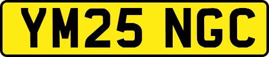 YM25NGC