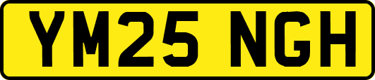 YM25NGH