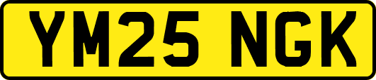 YM25NGK