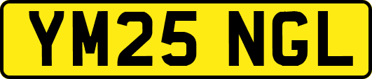 YM25NGL