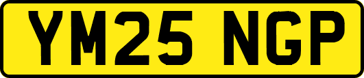 YM25NGP