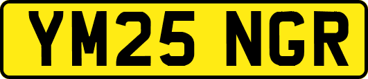 YM25NGR