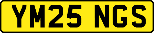YM25NGS