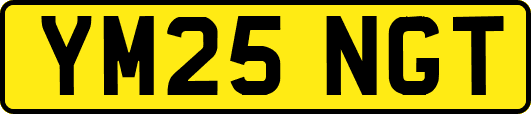 YM25NGT
