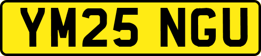 YM25NGU