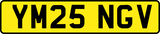 YM25NGV