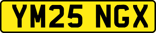 YM25NGX