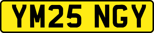 YM25NGY