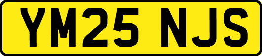 YM25NJS