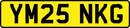 YM25NKG