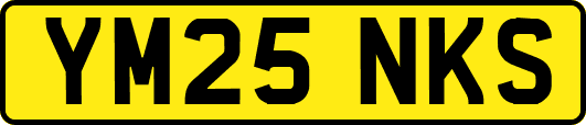 YM25NKS