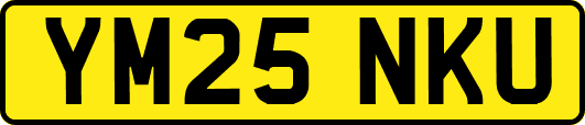 YM25NKU