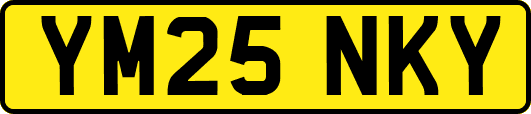 YM25NKY