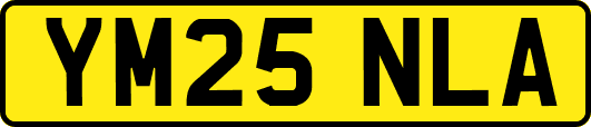 YM25NLA