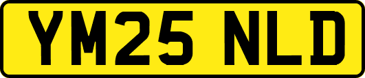 YM25NLD