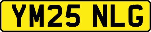 YM25NLG
