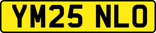 YM25NLO