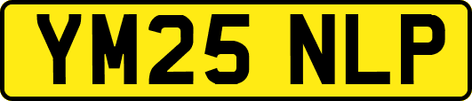 YM25NLP