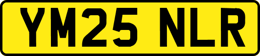YM25NLR