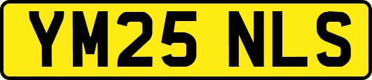 YM25NLS