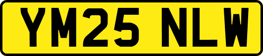 YM25NLW