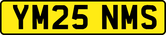 YM25NMS