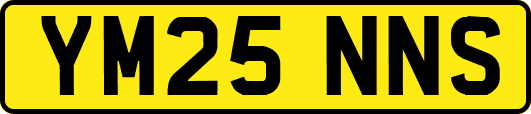YM25NNS