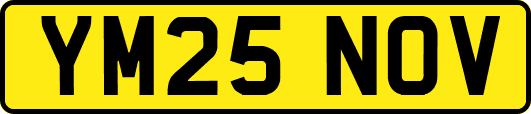 YM25NOV