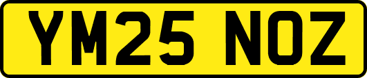 YM25NOZ