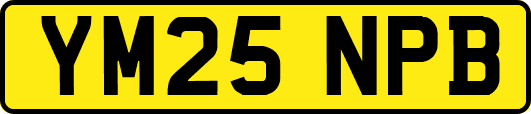 YM25NPB