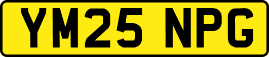 YM25NPG