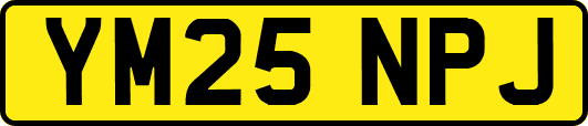 YM25NPJ