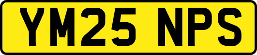 YM25NPS
