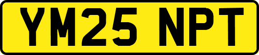 YM25NPT