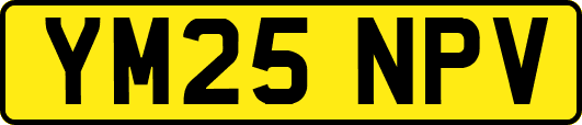 YM25NPV