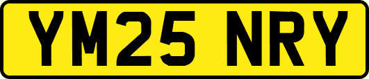 YM25NRY
