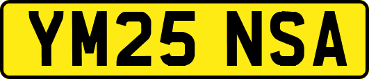 YM25NSA