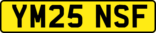 YM25NSF