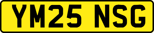 YM25NSG