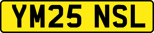 YM25NSL