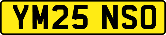 YM25NSO