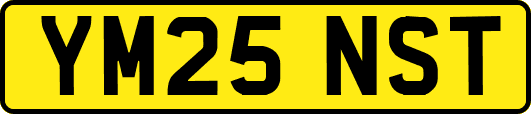 YM25NST