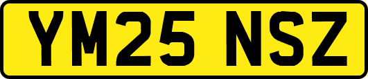 YM25NSZ