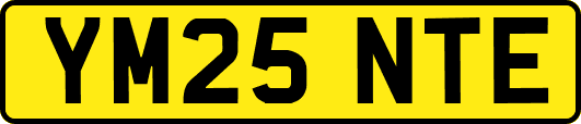 YM25NTE